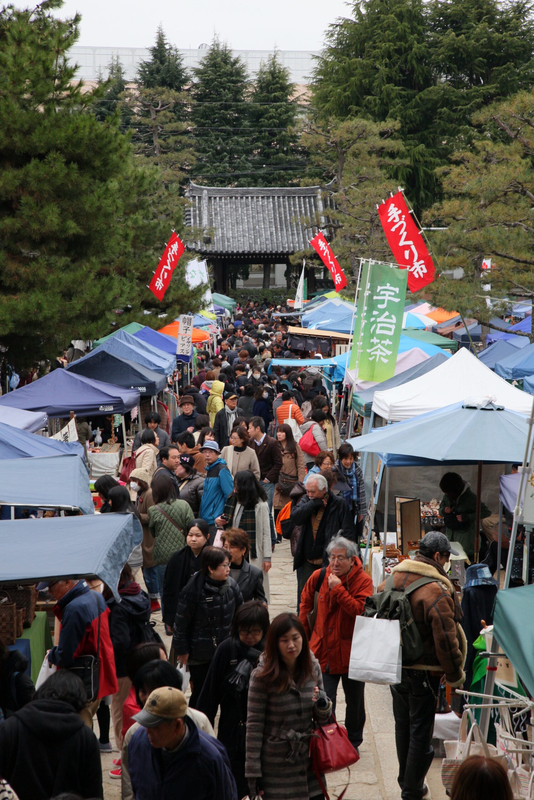 🏞️ 비와코 지구 시민의 숲(비와코 치큐 시민노모리) 이미지 12